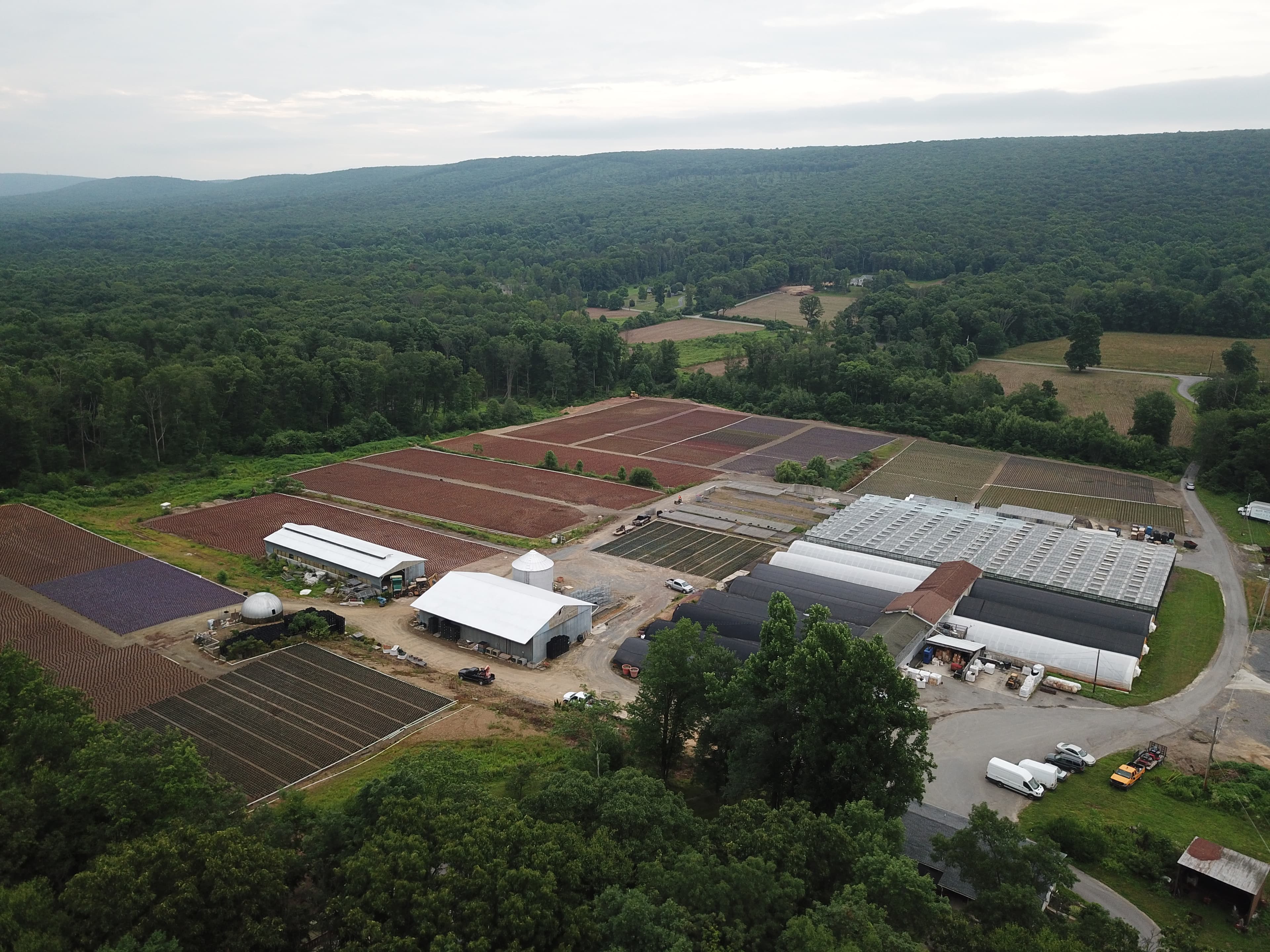 Aerial view of the greenhouses at the foot of the Blue Mountain