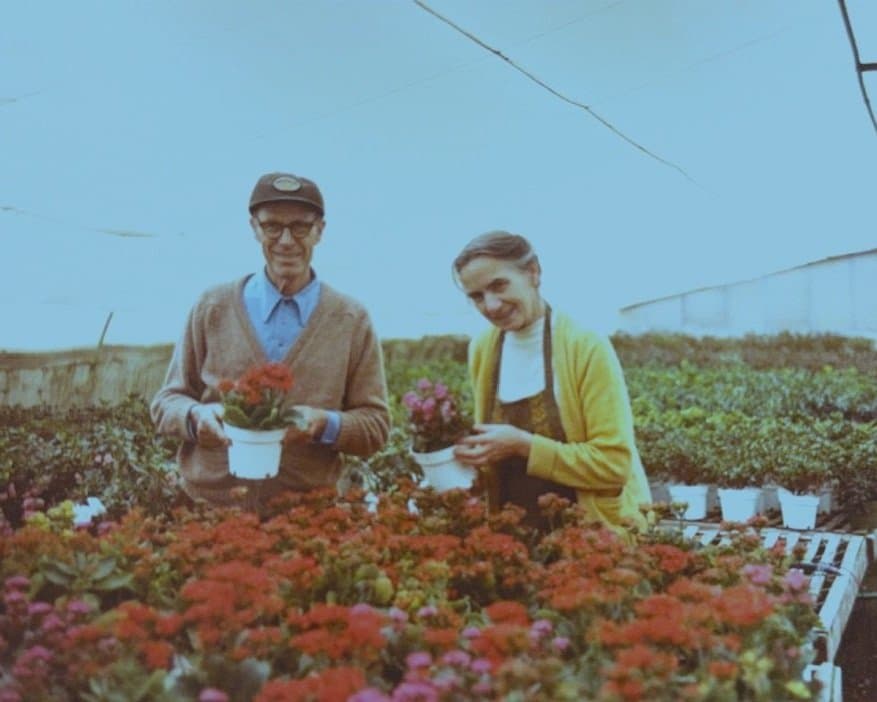 Chris and Margrit Dornbierer in the greenhouse