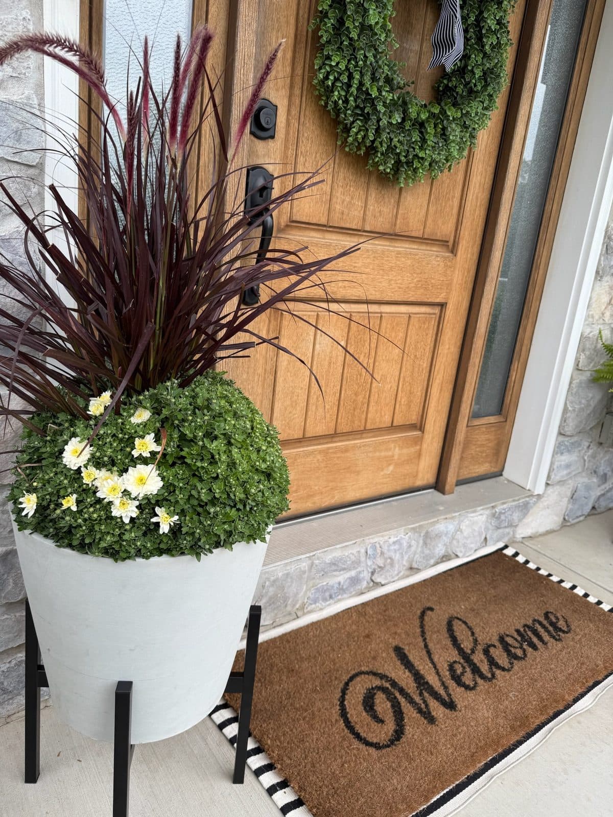 Fall mum sale